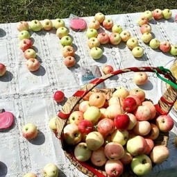 Игровая программа «Яблочный спас»