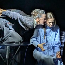 Спектакль «Стеклянный зверинец»