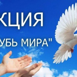 Акция «Голубь мира»