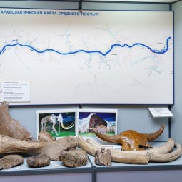 Постоянная экспозиция Каширского краеведческого музея
