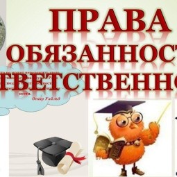 «Права, обязанности и ответственность»