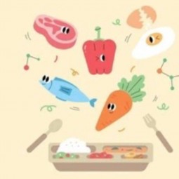 Беседа «О Вкусной и здоровой еде»