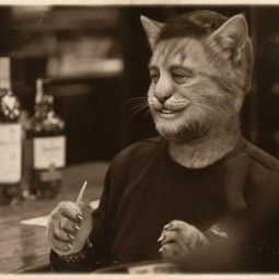 «Три плюс Кот»