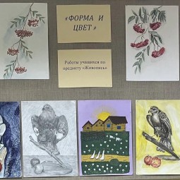 Форма и цвет