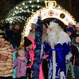 Территория чудес