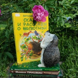 Литературная программа «В мире птиц и зверей»