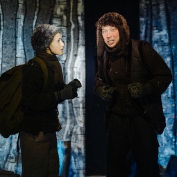 Спектакль «Новогодние посиделки с Ёжиком и Медвежонком»