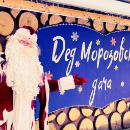 Программа «Выходные на Дед Морозовской даче»