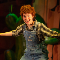 Спектакль «Вождь краснокожих»