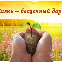Жизнь-бесценный дар