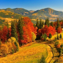 Осенняя пора