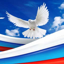 Познавательная программа «Гордо взвейся над страной,флаг российский наш родной».