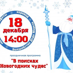 В поисках Новогодних чудес