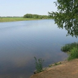 Праздник в д.Житонино и в д. Холмец.