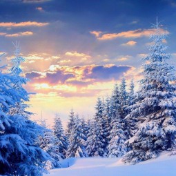 «Снежная – нежная сказка зимы»