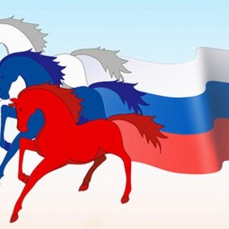 «Белый! Синий! Красный!»