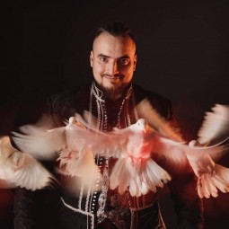 Цирковое представление «Звезды манежа»