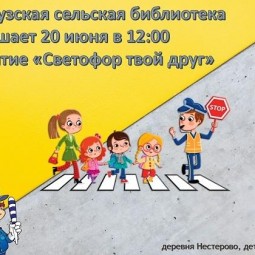 Светофор твой друг