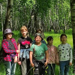 «Лес–достояние России»