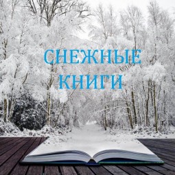 Выставка «Снежные книги»