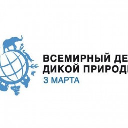Выставка «Берегите эту Землю»