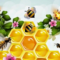 «Пчёлки»