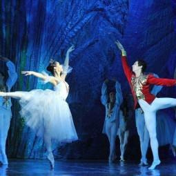 Русский классический театр балета «Щелкунчик»