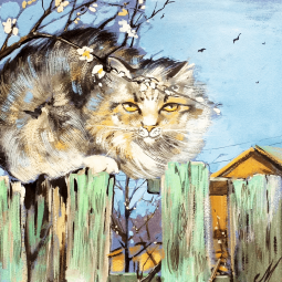 «Милый котик»