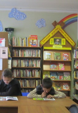 Биорковская сельская библиотека