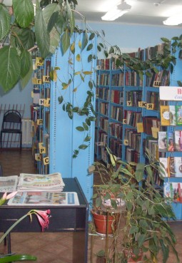 Никиткинская сельская библиотека-филиал