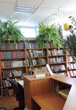 Костровская библиотека