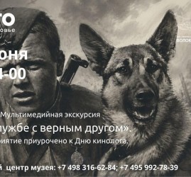 Мультимедийная экскурсия «На службе с верным другом»