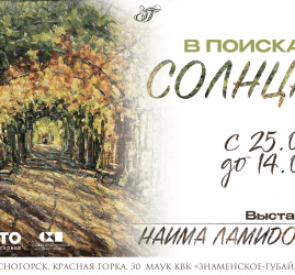 В поисках солнца
