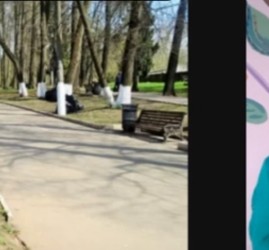Краеведческие он-лайн чтения «Были Солнечной горы»