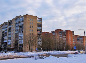 Черноголовка