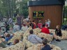 Ночь в парке в «Парке Победы»