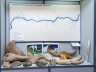 Постоянная экспозиция Каширского краеведческого музея