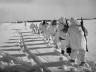 Экскурсия «Первый шаг к Победе: Битва за Москву»