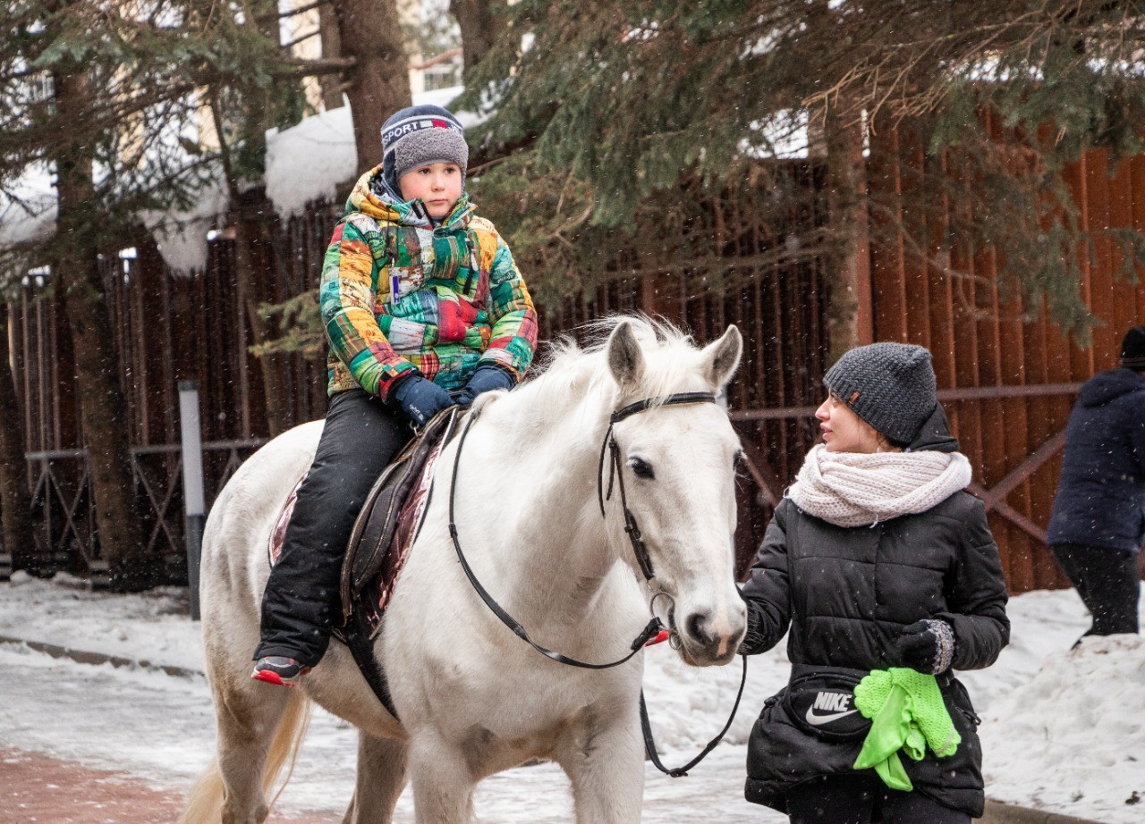 Пони и лошадь фото сравнение