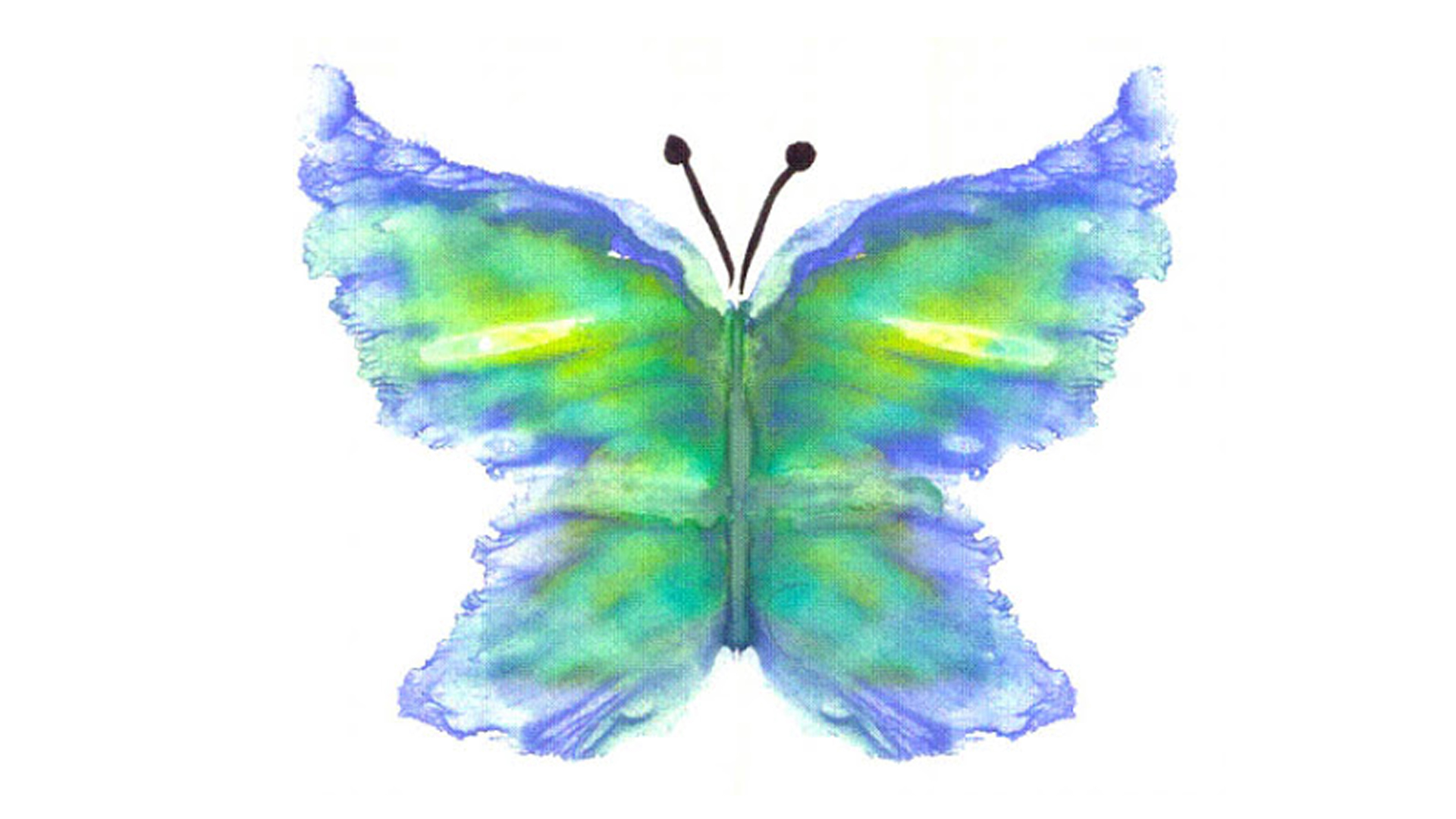 Монотипия техника рисования бабочка