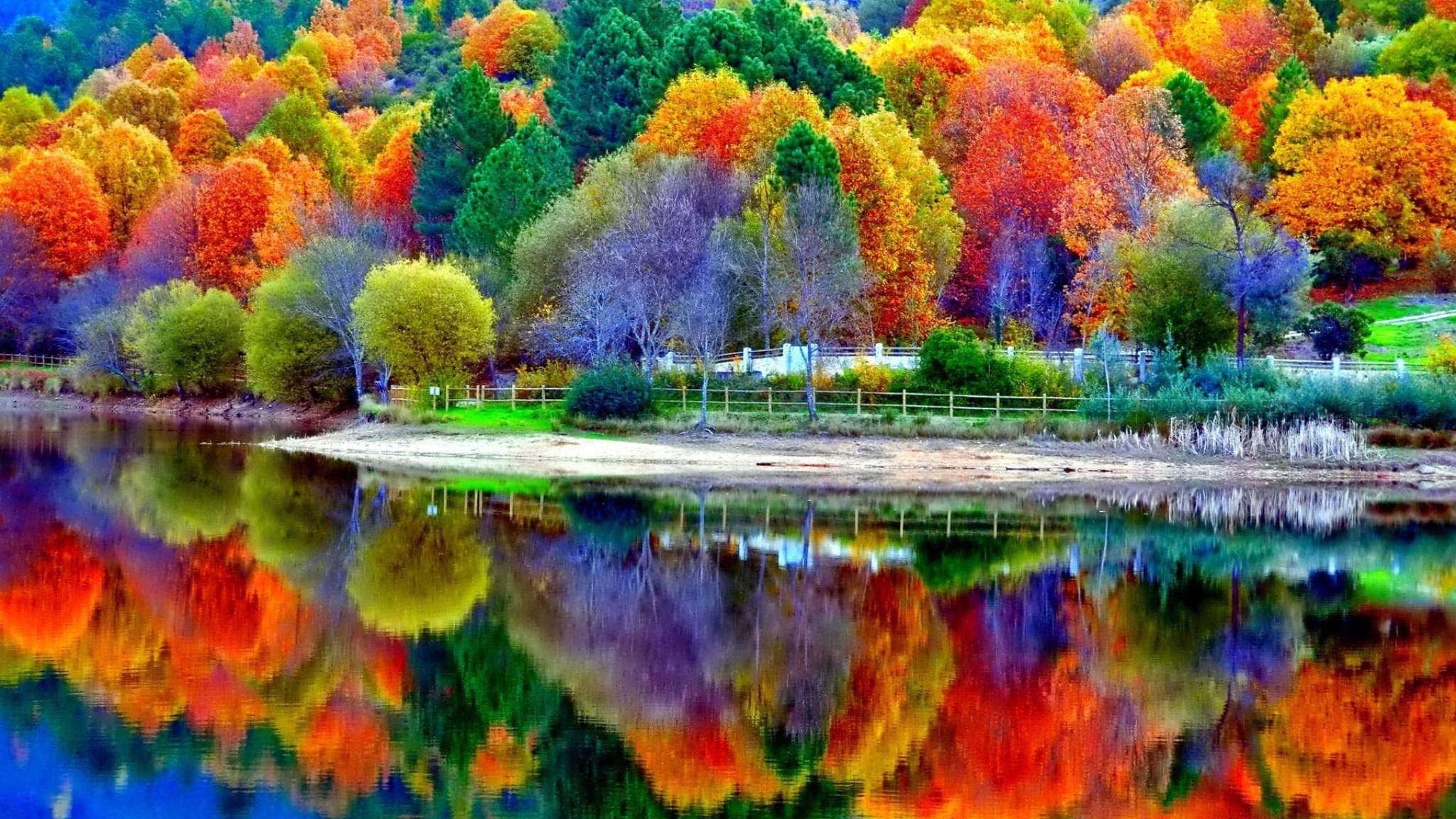 Яркий мир. Красивая осень. Осенние краски природы. Разноцветная осень. Яркие краски.