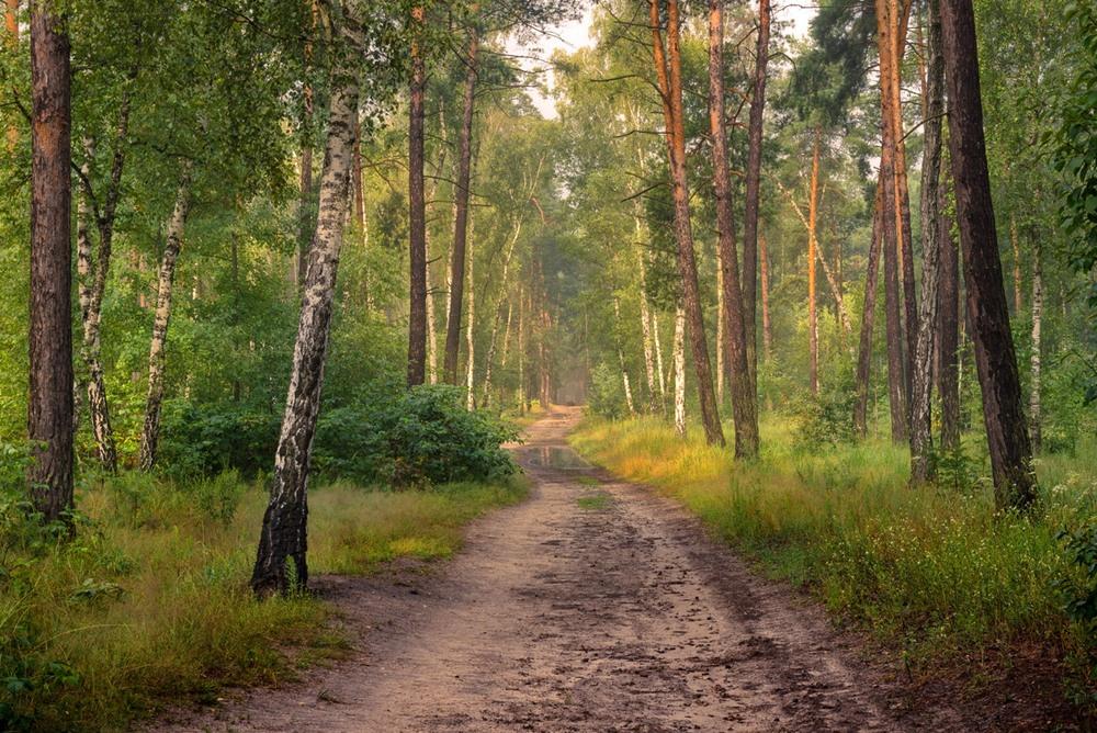 Доброй дорожки картинки