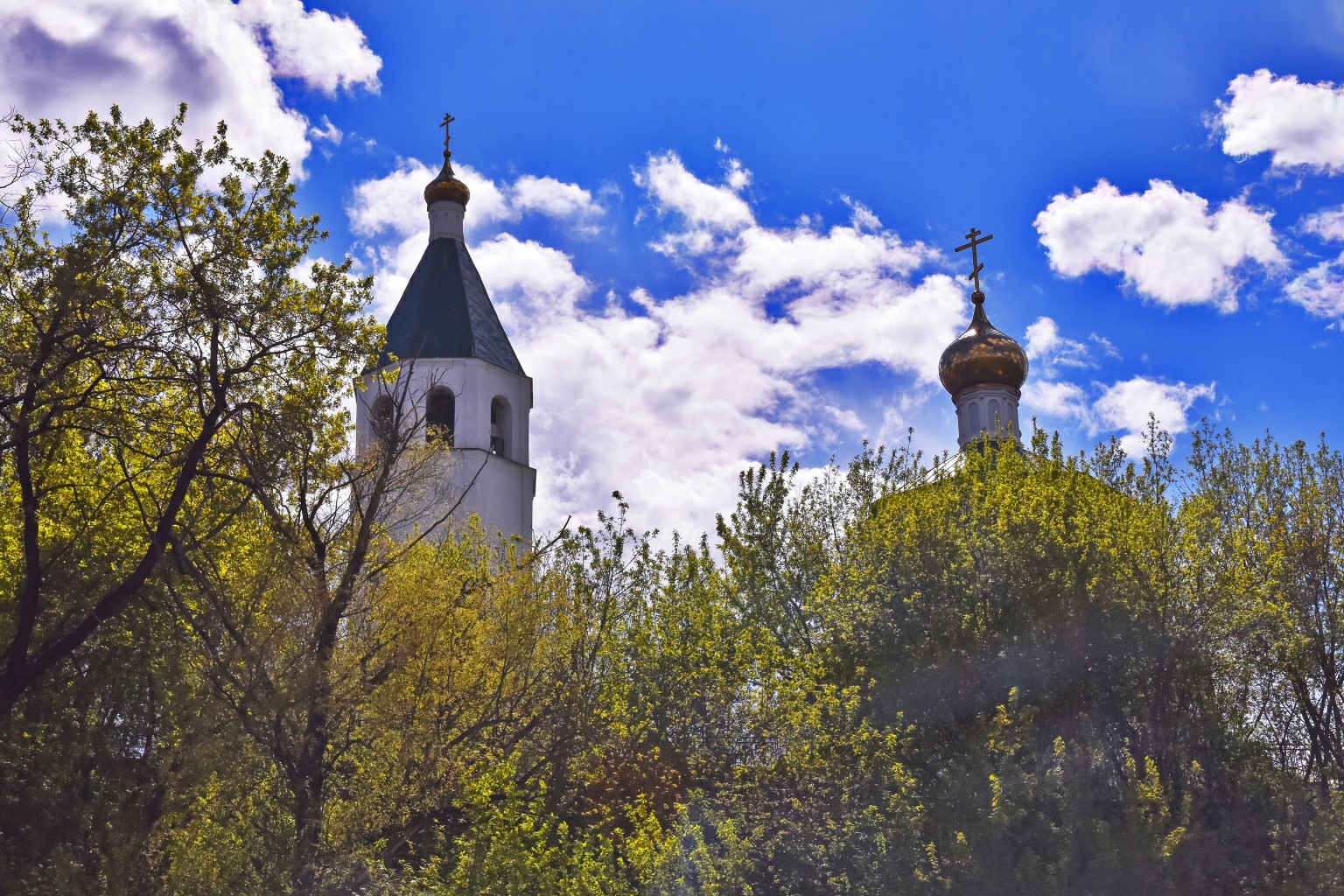 Виртуальная выставка «Праслово. Прогулка вдоль луки реки Сестры»