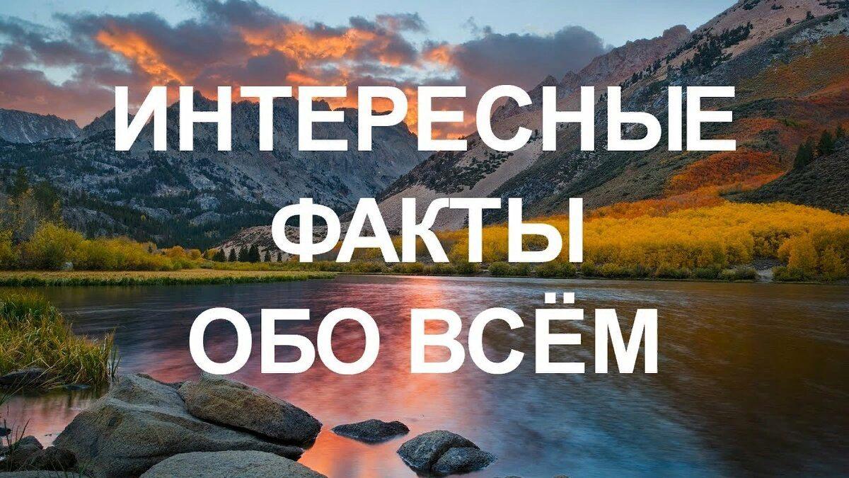 Это интересно в картинках