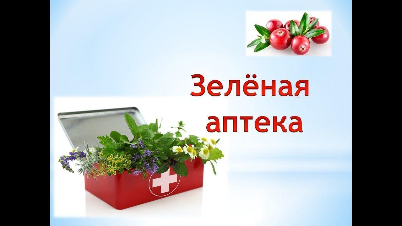 Зеленая аптека номер телефона. Зеленая аптека. Красивая надпись зеленая аптека. Зеленая аптека в детском саду. Заголовок зеленая аптека.